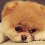 武德大师 马保国 年轻人