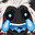 Raix