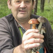 leśny ukraiński ssak