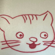 一只贪吃鸡架的小猫