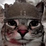 小貓貪吃被打正在哭泣