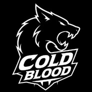 CB / Vørtex SKINS Steam avatar