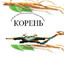 КОРЕНЬ