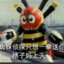 蜘蛛侦探