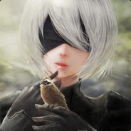 NIER 2B