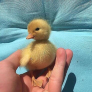 StortgysHD - steam id 76561198098724203