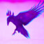cuervo morado