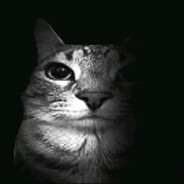 Ank22's avatar
