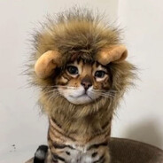 比奇堡艺术家小石子