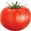 tomate