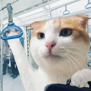 宇宙无敌饿大王