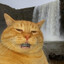 Mr. Chedda