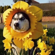 我叫布洛芬缓释胶囊，你也可以叫我头孢