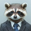 senior raccoon