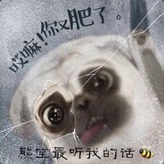 熊宝最听我的话