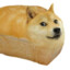 DogeBredX1039