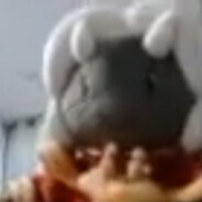 Hol