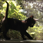 嫂子开门我是我哥