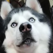 找回那片大自然