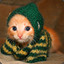 Kitten In A Sweater