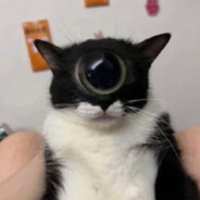 ciprianulus avatar