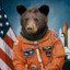 CosmicBear