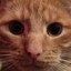 Vitold