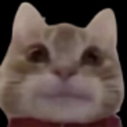 AlicePractice avatar