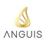 anGUis. amfe