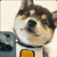 Steam avatar