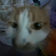pusstrack