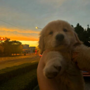 卡带发型有点乱