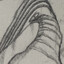 Seph