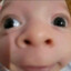 PedrinhoDoCookiePiesca