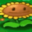 PlaTiu