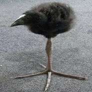 РасхитительМогил