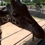 都说自己太牛逼