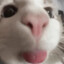 mikisatr22