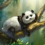 PANDA weed ⭕⃤
