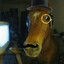 A very formal horse