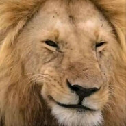 Pro100Baha - steam id 76561199127620835