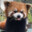 WANGHAF