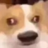 网恋漏牛被录屏