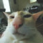Sup