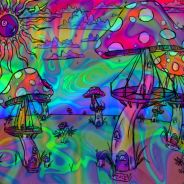 Rallie - steam id 76561197961156525