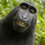 ruslan_hi3