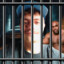 free chamus