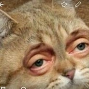 Барсик