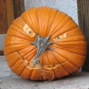 Дай бит брат!