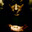 Cerenthecium avatar